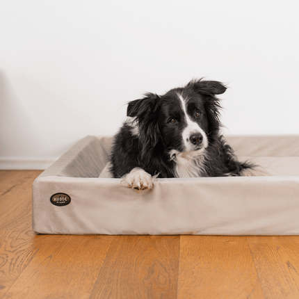 SEO. Hundebett KUDDE Samt - silk Linkreich