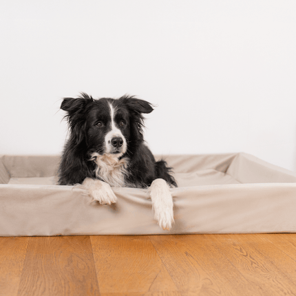 SEO. Hundebett KUDDE Samt - silk Linkreich