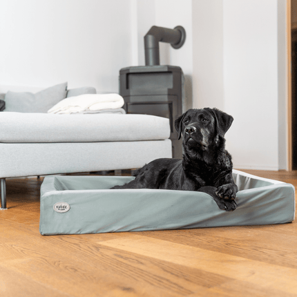 SEO. Hundebett KUDDE Samt - sage Linkreich