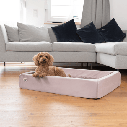 SEO. Hundebett KUDDE Samt - mauve Linkreich