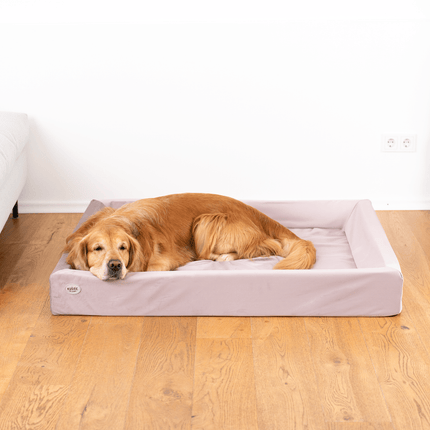 SEO. Hundebett KUDDE Samt - mauve Linkreich