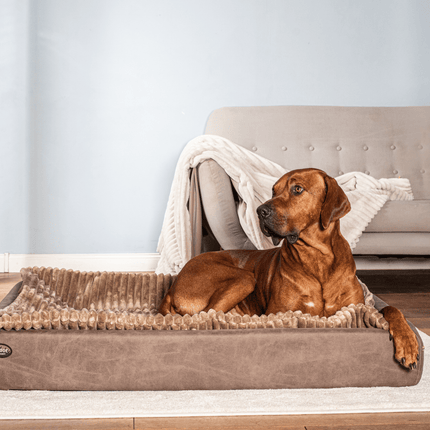 SEO. Hundebett KUDDE veganes Wildleder - cacao Linkreich