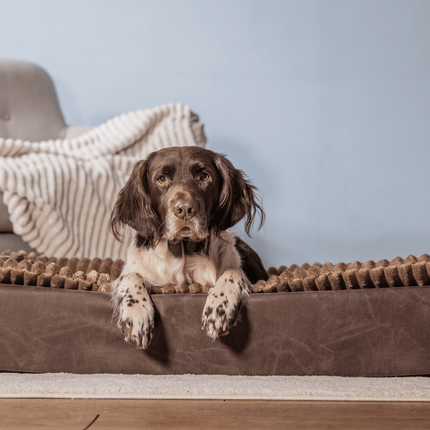 SEO. Hundebett KUDDE veganes Wildleder - cacao Linkreich