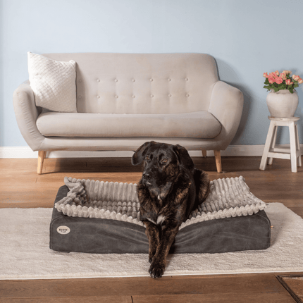 SEO. Hundebett KUDDE veganes Wildleder - dark grey Linkreich