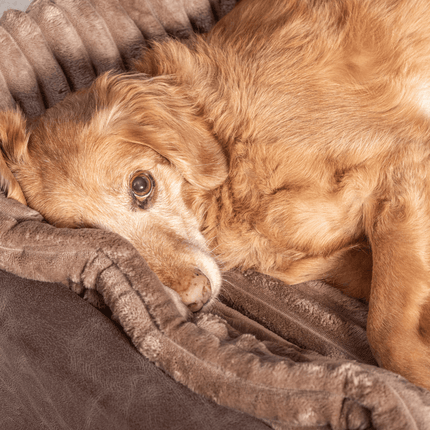 SEO. Hundebett KUDDE veganes Wildleder - cacao Linkreich