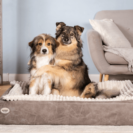 SEO. Hundebett KUDDE veganes Wildleder - taupe Linkreich