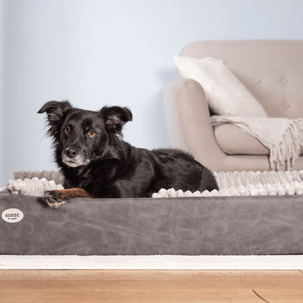 SEO. Hundebett KUDDE veganes Wildleder - dark grey Linkreich