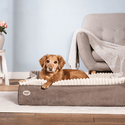 SEO. Hundebett KUDDE veganes Wildleder - taupe Linkreich