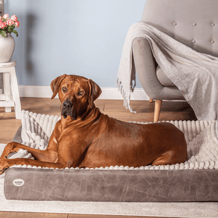 SEO. Hundebett KUDDE veganes Wildleder - taupe Linkreich