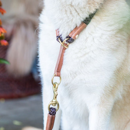 SEO. Hundehalsband OUTDOOR Rundzug - braun Linkreich