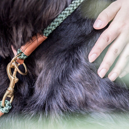 SEO. Hundehalsband OUTDOOR Rundzug - braun Linkreich