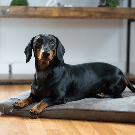 SEO. Hundeliegematte JOKKMOKK veganes Wildleder - taupe Linkreich