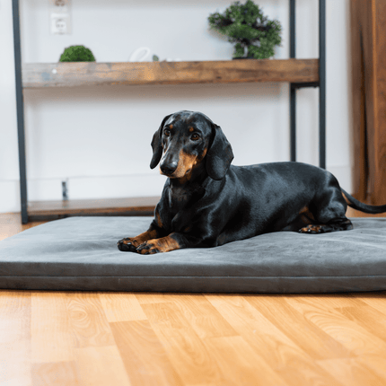 SEO. Hundeliegematte JOKKMOKK veganes Wildleder - dark grey Linkreich