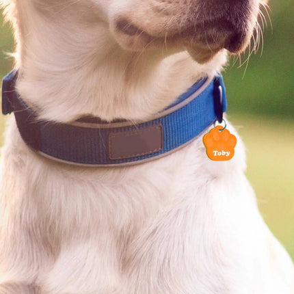 SEO. Hundemarke mit Gravur - Große Pfote - Orange Linkreich