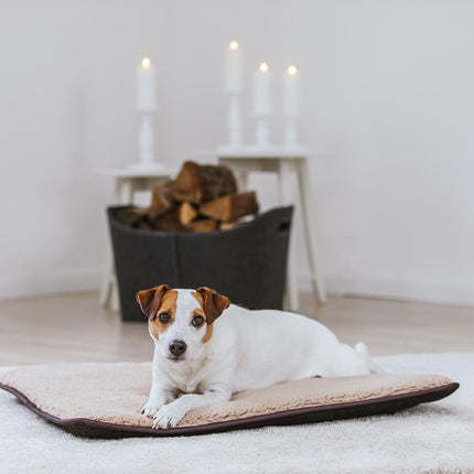 SEO. Hundematte HYGGE PAD - beige Linkreich
