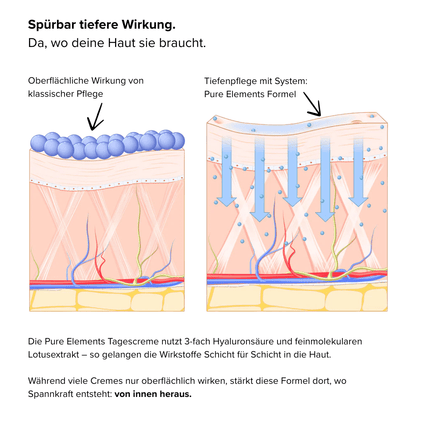 SEO. Hyaluron Serum •Anti Age• mit Lotusextrakt - Linkreich