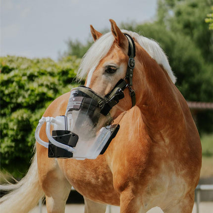 SEO. Inhalator für Pferde equosonic free Starterpaket - Transparent (Pferd/Standard) Linkreich
