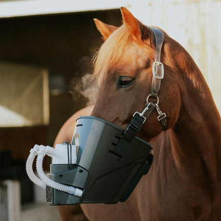 SEO. Inhalator für Pferde equosonic free Starterpaket - Transparent kurz (Pony/Klein) Linkreich