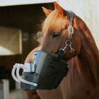Schwarz kurz (Pony/Klein)