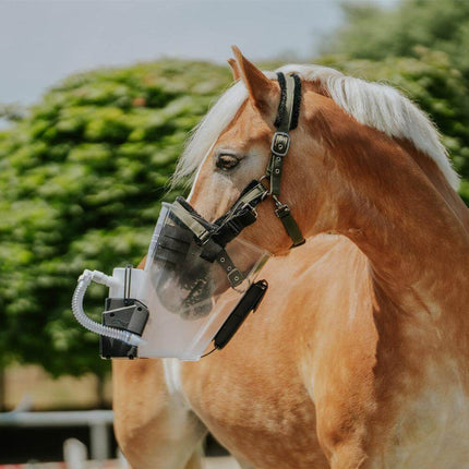 SEO. Inhalator für Pferde equosonic free Starterpaket - Schwarz (Pferd/Standard) Linkreich