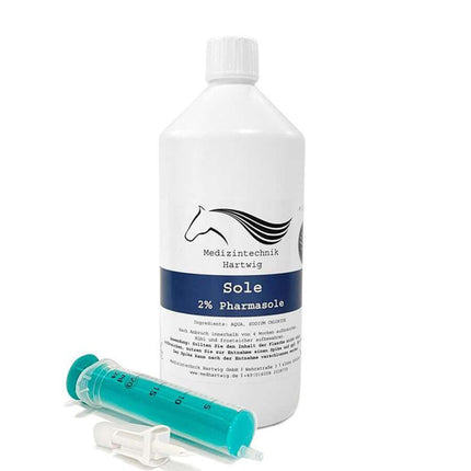 SEO. Inhalator für Pferde Equosonic Privat Starter Paket - Normal 9 Liter Volumen Linkreich