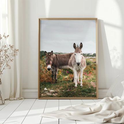 Donkeys in Connemara – Irish Countryside Wall Art Print