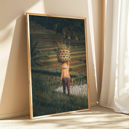 Jatiluwih Rice Fields Wall Art Print – Bali Landscape Photography