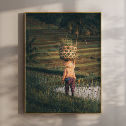 Jatiluwih Rice Fields Wall Art Print – Bali Landscape Photography