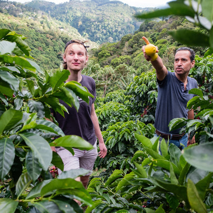 Filter Coffee - Jorge Vásquez - Catuai Natural