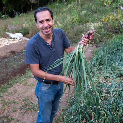 Filter Coffee - Jorge Vásquez - Catuai Natural