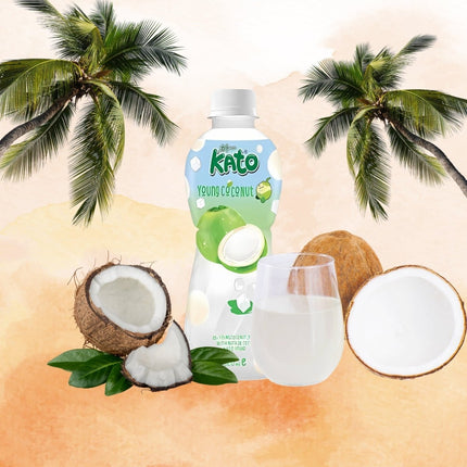 SEO. KATO Kokoswasser mit Nata De Coco 320ml - Linkreich