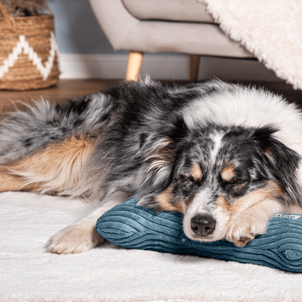 SEO. Kissen KUSCHELKNOCHEN Cord - ocean Linkreich