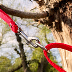 Rot / Pop-Band (gewebt) / 16 mm