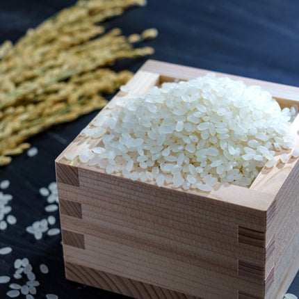 SEO. Koshihikari Premium Reis aus Toyama Japan 10Kg - Linkreich