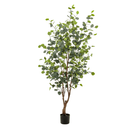 Kunstpflanze Eukalyptusbaum – Blue Gum Tree – ca. 140cm hoch – Täuschend echt & pflegefrei – Für Wohnzimmer, Büro & dunkle Räume – Immergrün & stilvoll (Plant) kaufen bei Linkreich – Jetzt entdecken!