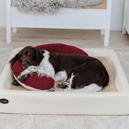 SEO. Kuschelbundle | KUDDE + Schmusehörnchen Alltid - sahara Linkreich