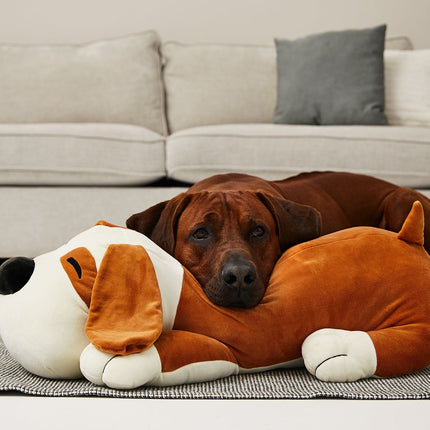 SEO. Kuschelkumpel TOMMI - Linkreich