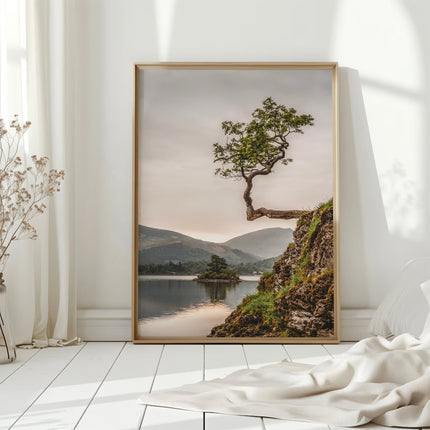 Lone Tree at Derwentwater – Lake District Wall Art Print