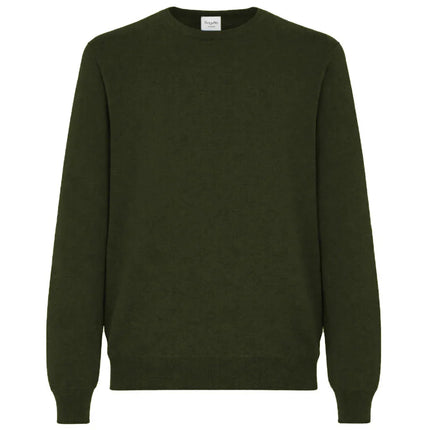 bagutta - Sweaters - bmmgiuu-fin16-foresta