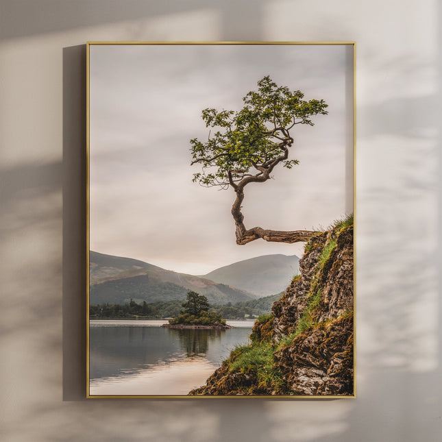 Lone Tree at Derwentwater – Lake District Wall Art Print
