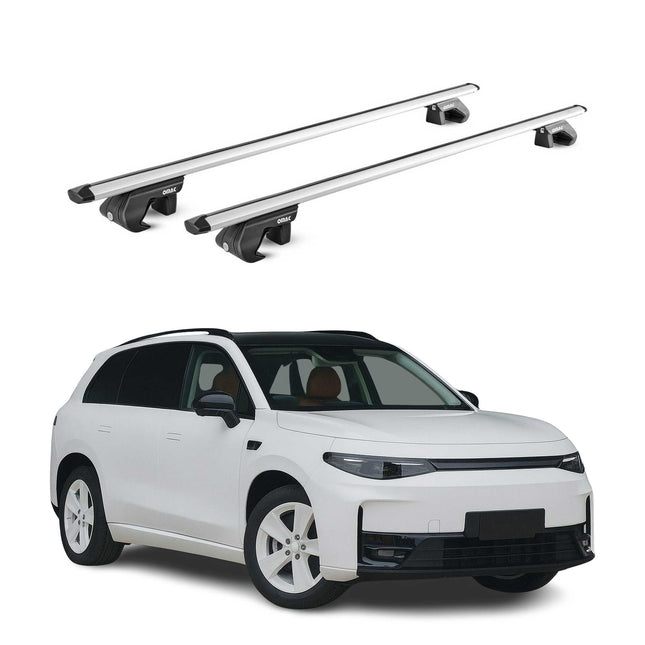 Dachträger Grundtäger für Leapmotor C10 2023-2026 90kg Alu Silber 2 tlg ABE