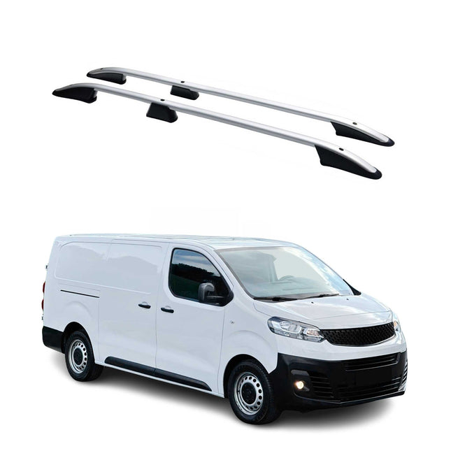 Dachreling für Fiat Scudo Peugeot Expert Citroen Jumpy 2016-2026 L3 Alu Grau