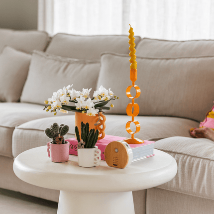 Melodiez Spieluhr Holz – Melody Nature Box mit Bewegungsmelder – Naturklänge wie Vogelgezwitscher, Meeresrauschen & Dschungel – Entspannende Klangbox für Wohnzimmer, Schlafzimmer & Badezimmer (Plant) kaufen bei Linkreich – Jetzt entdecken!