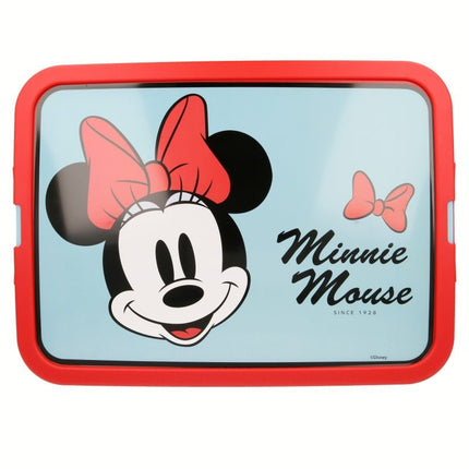 SEO. Minnie Maus Aufbewahrungsbox Store Box - 23 Liter - Linkreich