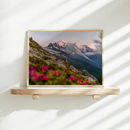 Mont Blanc Sunset Wall Art Print – Chamonix Alpine Landscape with Flowers