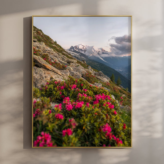 Mont Blanc Massif Wall Art - Chamonix Flowers Print