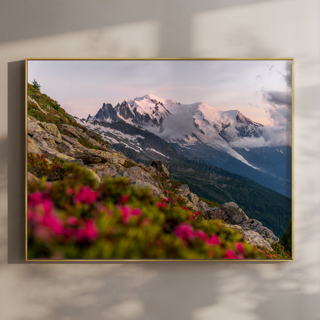 Mont Blanc Sunset Wall Art Print – Chamonix Alpine Landscape with Flowers