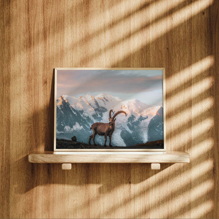 Ibex Sunrise in Chamonix - Wall Art Print of Mont Blanc