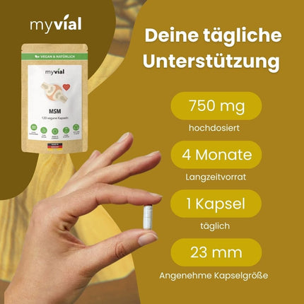 SEO. MSM Kapseln - Einzeln Linkreich