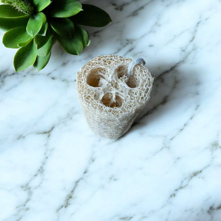 Natürlicher Luffa-Schwamm